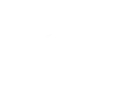 Grafik weiß Naturrasen