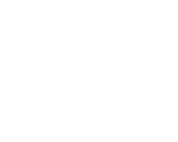 Grafik Ahornblatt weiß