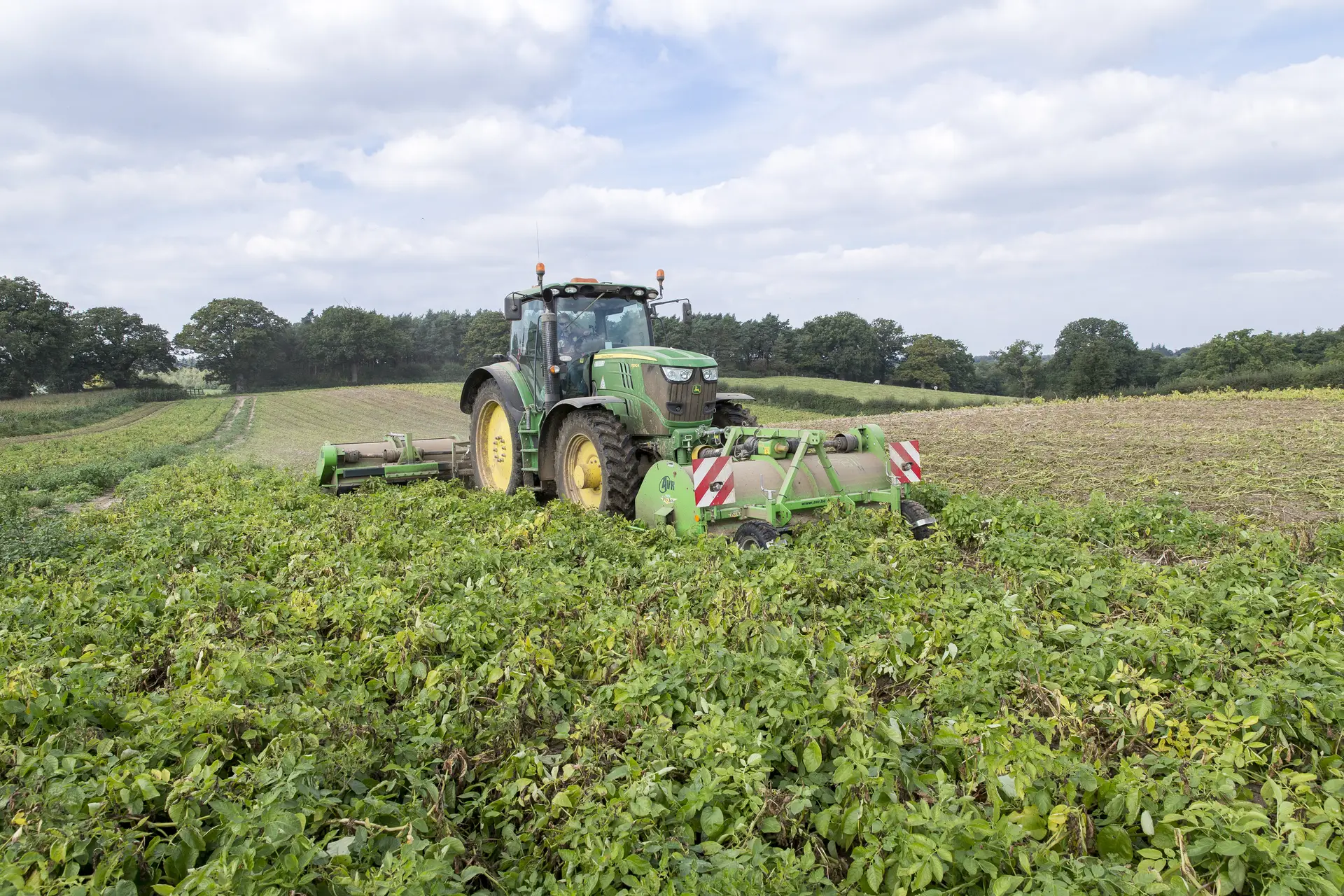 Traktor und Erntemaschine auf dem Kartoffelfeld