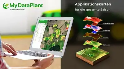 Mann am Laptop, Grafik daneben